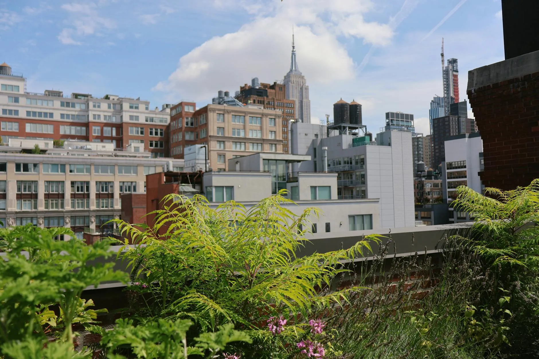 Zielony ogród na dachu z panoramą nowoczesnego miasta w tle